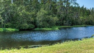 Ilustrační foto: Pixabay / CC0