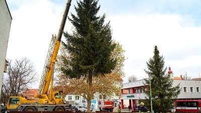 OBRAZEM: Podbořany už mají svůj vánoční strom