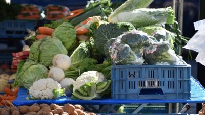 Změna u farmářských trhů v Žatci: Sobotní termín se ruší, páteční pokračují