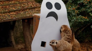 Ilustrační foto: Zoo Ústí nad Labem