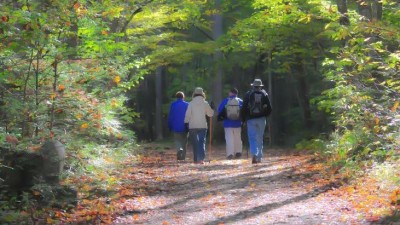 Ilustračn&iacute; sn&iacute;mek. Zdroj: Pixabay / CC0