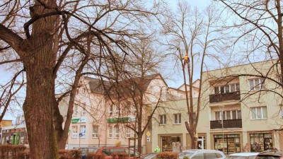 V Podbořanech na náměstí pokáceli strom. Ohrožoval kolemjdoucí. Foto: Laurencia Helásková