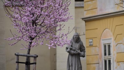 Foto zdroj: Město Žatec