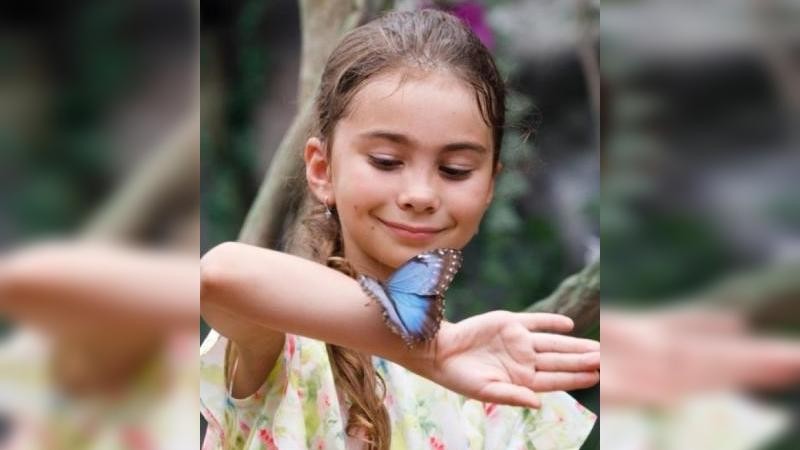 S motýlem se můžete i vyfotit. Foto zdroj: www.papilonia.cz