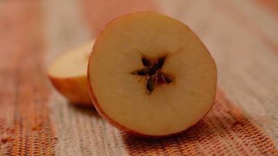 Ilustračn&iacute; foto: Pixabay / CC0