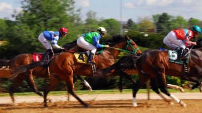 TIPY NA V&Iacute;KEND: Dostihy, hvězdy i chutě světa. Kraj ček&aacute; v&iacute;kend nabit&yacute; z&aacute;žitky