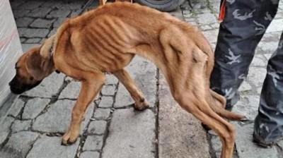 Foto: &Uacute;tulek Jiml&iacute;n