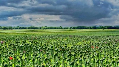 Stěží 20 °C. Do České republiky pronikne původem arktický vzduch od severozápadu
