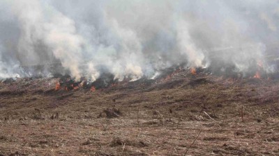 Vypalování trávy je nezákonné a hrozí za něj vysoké pokuty, upozorňují hasiči