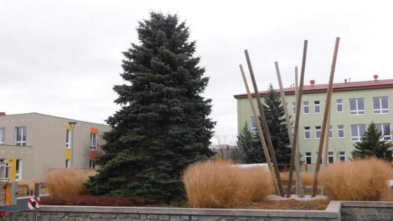 Vánoční stromy už stojí na nám. Svobody a nám. Poperinge. Foto: MÚ Žatec