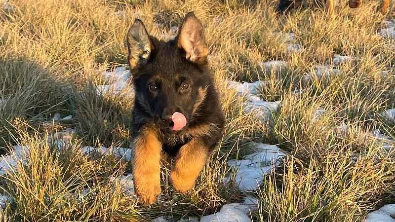 Foto zdroj: FCB Vězeňsk&aacute; služba ČR