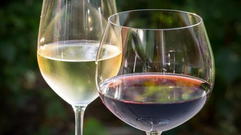 Ilustračn&iacute; foto: Pixabay / CC0