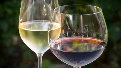 Žatec pl&aacute;nuje prvn&iacute; festival v&iacute;na a hled&aacute; partnera