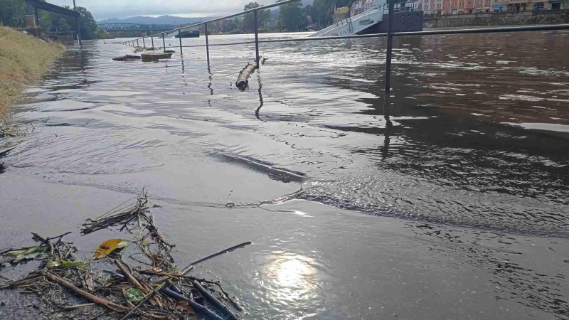 Labe v Děčíně. Foto: redakce