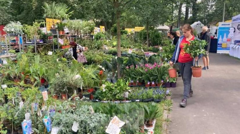 Ilustračn&iacute; foto: e-deniky