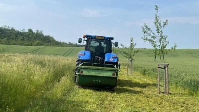 Projekt Cesta ke kapličce pokračuje pravidelnou údržbou