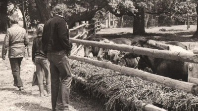 Hvězdy, zvířata a zážitky: Nenechte si ujít jedinečnou oslavu 50 let chomutovského zooparku