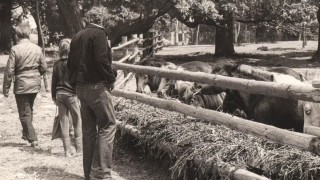 V květnu to bylo 50 let, kdy se zoopark otevřel. Oslavy jsou nachystány na tuto sobotu. Foto: Zoopark Chomutov