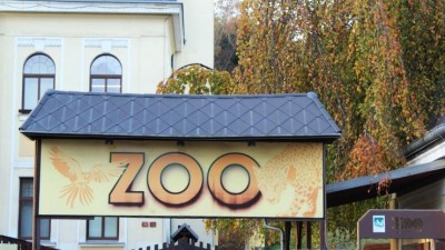Ústeckou zoo zaplní běžci! Získané peníze pomohou velkým kopytníkům