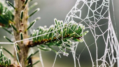 Úterý bylo tropické, ale i mrazové, v Krušných horách totiž ráno mrzlo