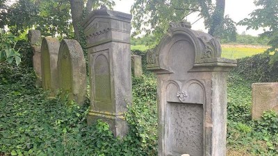 FOTO/ZAJÍMAVOST: Věděli jste, že … V Třebívlicích uprostřed vinic stojí starý židovský hřbitov?