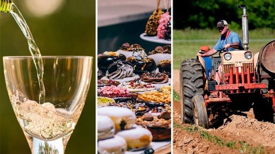 15 akcí na víkend: Sladký festival, vinobraní či traktoriáda! Kam vyrazíte?