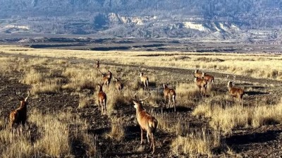 VIDEO: Tady se pod Kru&scaron;n&yacute;mi horami těžilo uhl&iacute;. Dnes tomu skoro neuvěř&iacute;te