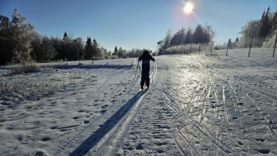 Ilustračn&iacute; foto: jip