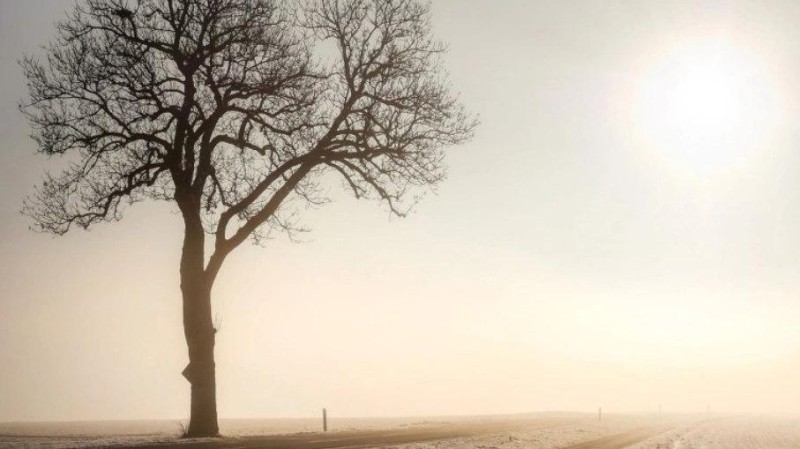 Ilustračn&iacute; foto: Pixabay / CC0