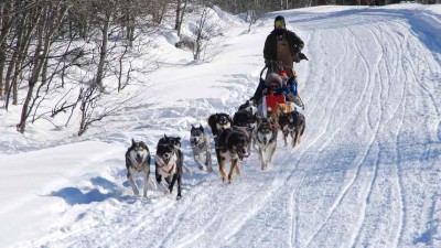 TIP NA V&Yacute;LET: Kru&scaron;nohorsk&eacute; Abertamy ožij&iacute; z&aacute;vody ps&iacute;ch spřežen&iacute;