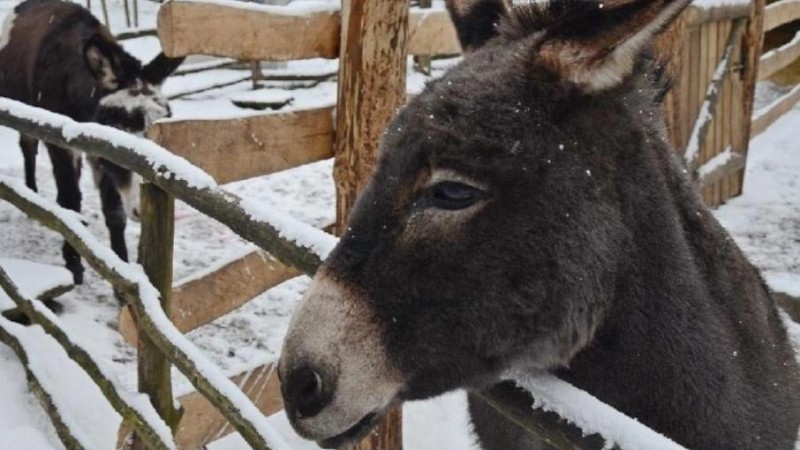 Foto: Zoo Děčín