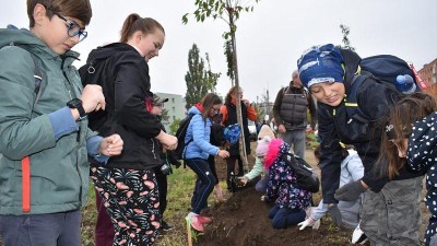 Žatečané si na Jihu vysázeli první část nové aleje