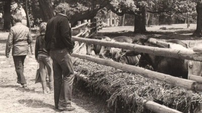 Zoopark chystá k 50. výročí retrospektivní výstavu, máte doma staré fotky?