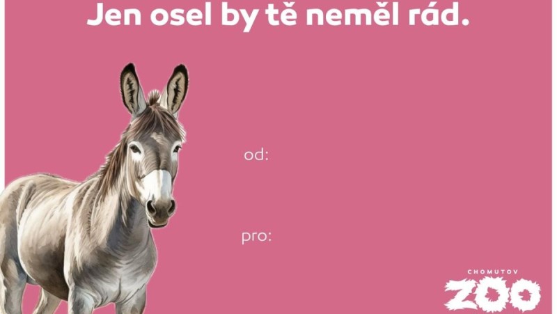 Valent&yacute;nky chomutovsk&eacute;ho zooparku jsou neskutečně vtipn&yacute; n&aacute;pad. Každ&yacute; si vybere tu svou. Foto: Zoopark Chomutov