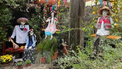 VIDEO: Veselý Den mrtvých ve skleníku! Takhle vypadá mexický svátek v botanické zahradě