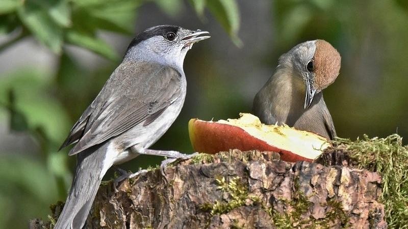 Foto: Dagmar Běhounkov&aacute;