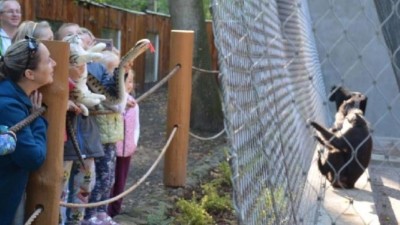 Ilustrační foto: Zoo Děčín