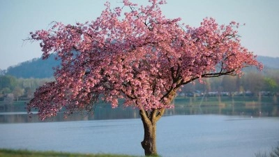 Od pondělí do pátku bylo v Česku každý den nejtepleji v severozápadních Čechách, a to až 30 °C