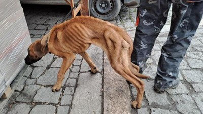 Foto: &Uacute;tulek Jiml&iacute;n