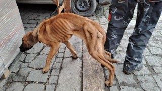 Foto: &Uacute;tulek Jiml&iacute;n