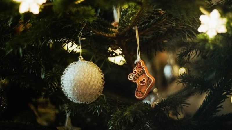 Ilustrační foto: Pixabay / CC0