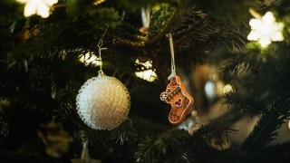 Ilustrační foto: Pixabay / CC0