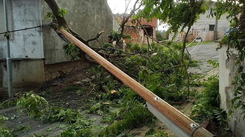 Spadlý strom zlomil sloup telefonního vedení v Liběšicích u Litoměřic. Foto: HZS Ústeckého kraje