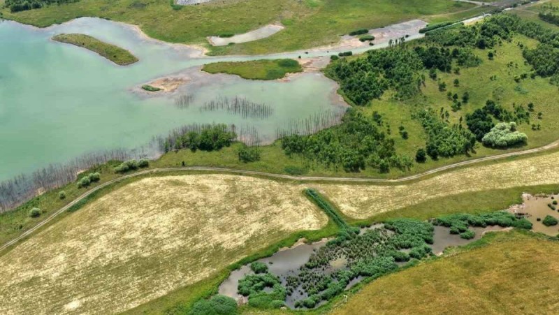 Už nyní se na výsypkách a části již rekultivovaného území nachází řada vodních ploch. Území přitahuje rozmanitou faunu i flóru. Foto: archiv