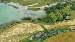 Už nyní se na výsypkách a části již rekultivovaného území nachází řada vodních ploch. Území přitahuje rozmanitou faunu i flóru. Foto: archiv