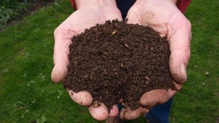 Ilustračn&iacute; sn&iacute;mek. Zdroj: Pixabay / CC0