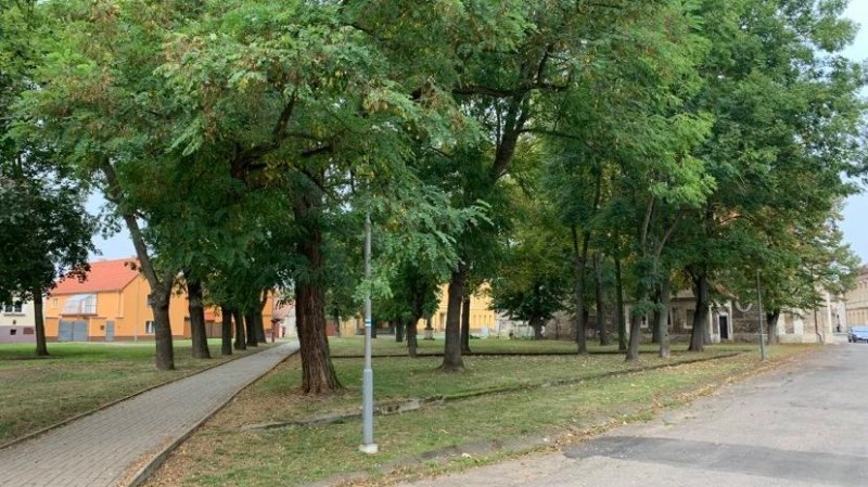 Park na náměstí v Lenešicích. Foto: Jitka Fárová