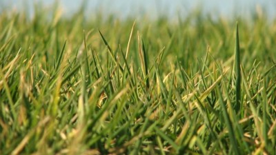 Louny sečou trávu způsobem šetrnějším k životnímu prostředí