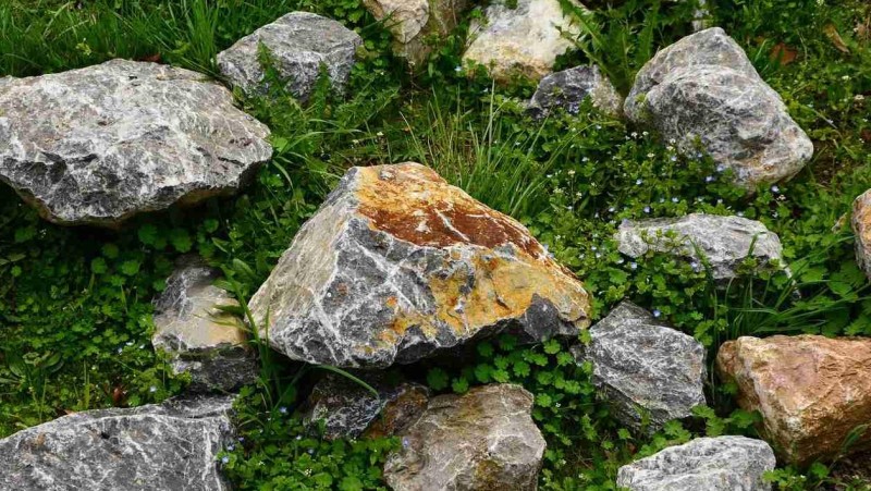 Ilustrační foto: Pixabay / CC0