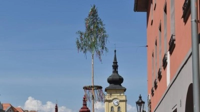 Májka zdobí náměstí Svobody v Žatci
